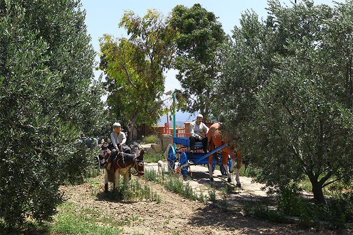 ''Maket Köy''ünü büyütmek istiyor