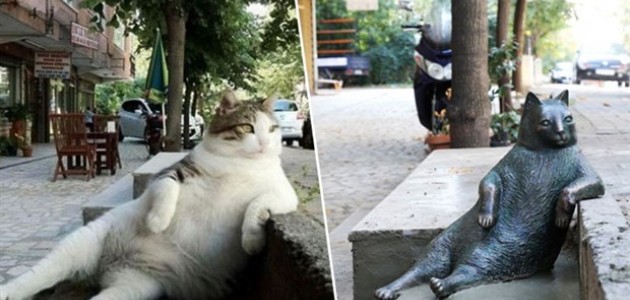 Oturuşuyla ünlenen kedi Tombili'nin heykeli açıldı