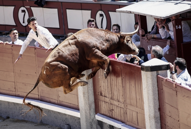 Fotoğraflarla 2016 yılı!