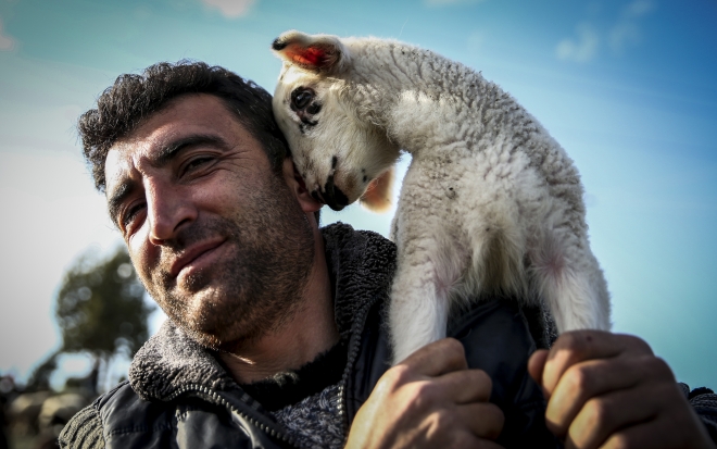 Fotoğraflarla 2016 yılı!