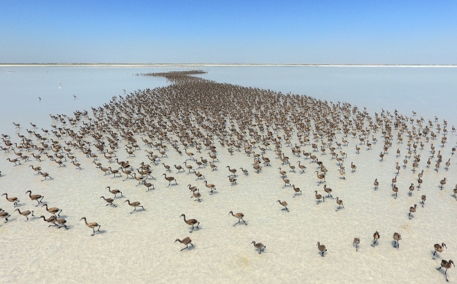 Fotoğraflarla 2016 yılı!