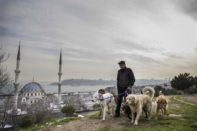 Fotoğraflarla 2016 yılı!