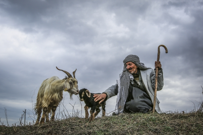 Fotoğraflarla 2016 yılı!