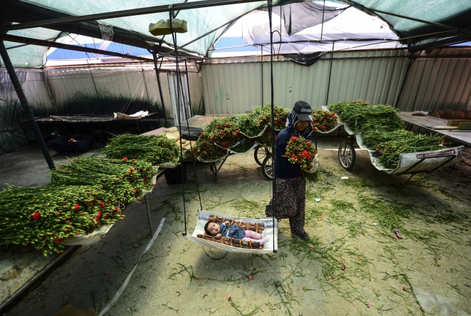 Fotoğraflarla 2016 yılı!