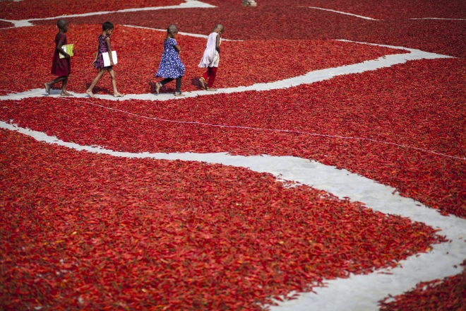 Fotoğraflarla 2016 yılı!