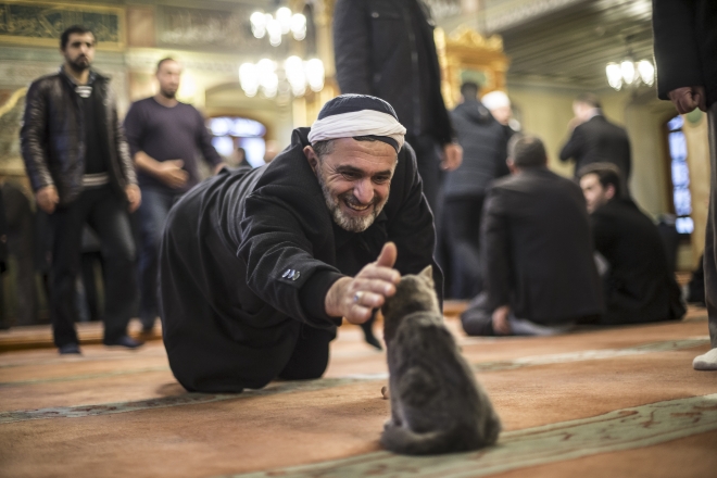 Fotoğraflarla 2016 yılı!