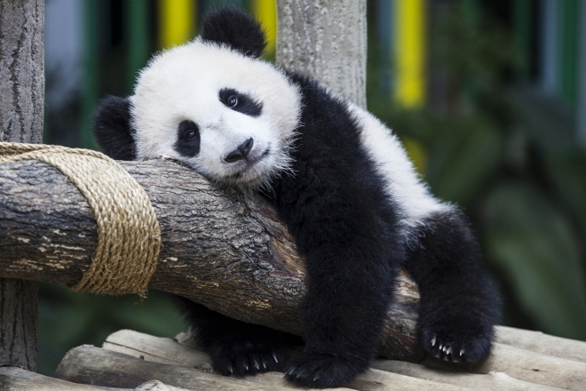 Fotoğraflarla 2016 yılı!