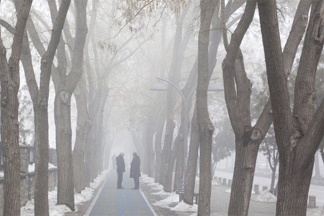 Konya’da kent merkezinde sis etkili oldu