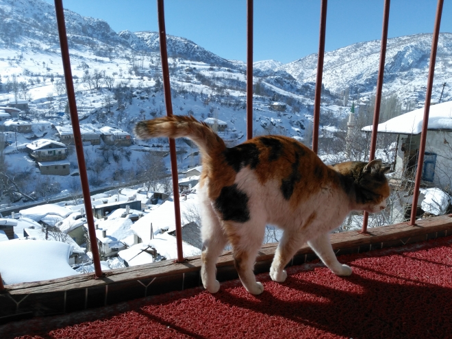 Bozkır’da hayat normale dönmeye başladı