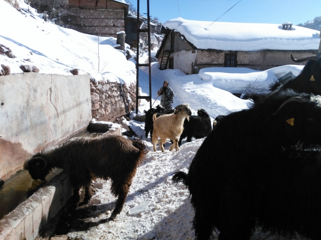 Bozkır’da hayat normale dönmeye başladı