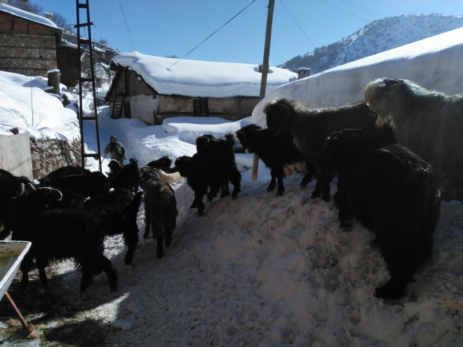 Bozkır’da hayat normale dönmeye başladı