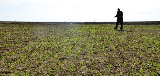 İşte illerin tarım alanı büyüklükleri! Tek başına Konya...