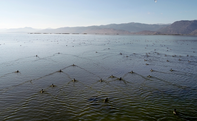 Yeşil ve mavinin buluştuğu saklı cennet: “Suğla Gölü’’