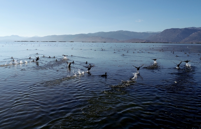 Yeşil ve mavinin buluştuğu saklı cennet: “Suğla Gölü’’