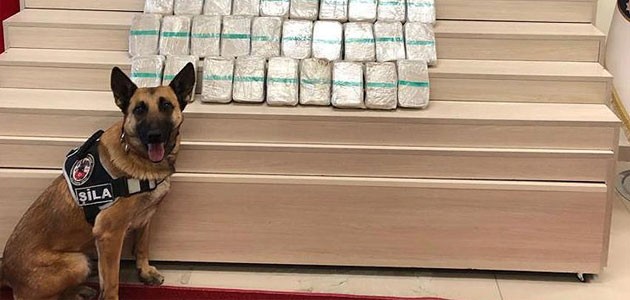 Narkotik köpeği Şila gizlenen 21 kilo eroini buldu