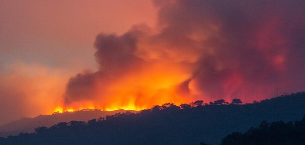 Yeni Zelanda’daki orman yangınında acil durum ilan edildi