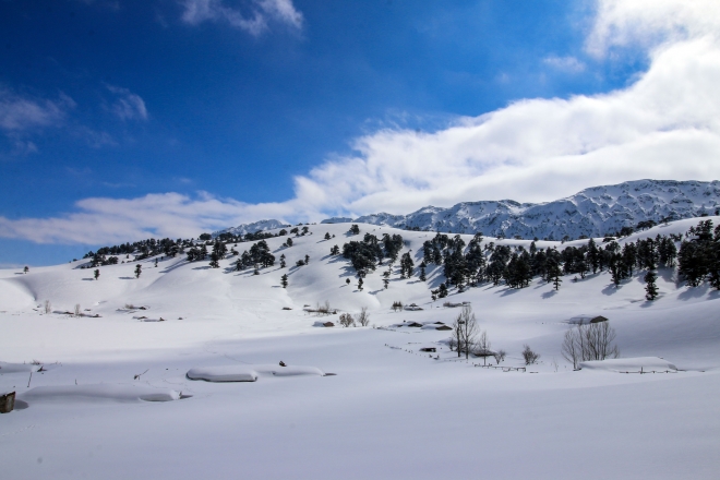  Fotoğraf tutkunlarının gözdesi Karakışla Yaylası
