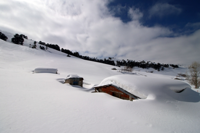  Fotoğraf tutkunlarının gözdesi Karakışla Yaylası