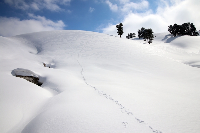 Fotoğraf tutkunlarının gözdesi Karakışla Yaylası