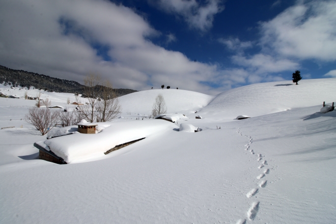  Fotoğraf tutkunlarının gözdesi Karakışla Yaylası