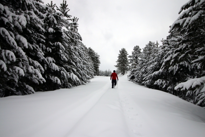  Fotoğraf tutkunlarının gözdesi Karakışla Yaylası