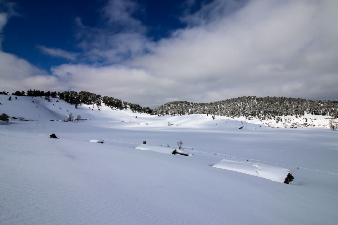  Fotoğraf tutkunlarının gözdesi Karakışla Yaylası