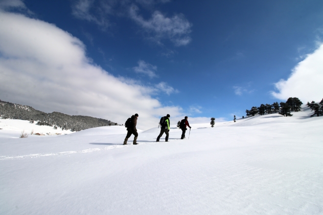  Fotoğraf tutkunlarının gözdesi Karakışla Yaylası