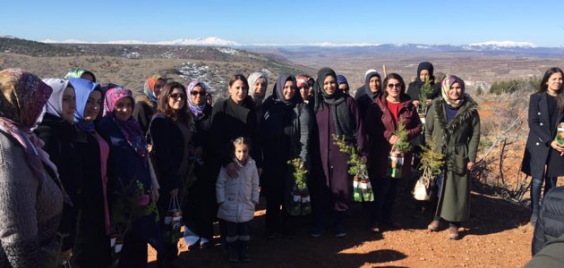 Derbent’te Dünya Kadınlar Günü’nde fidan dikildi