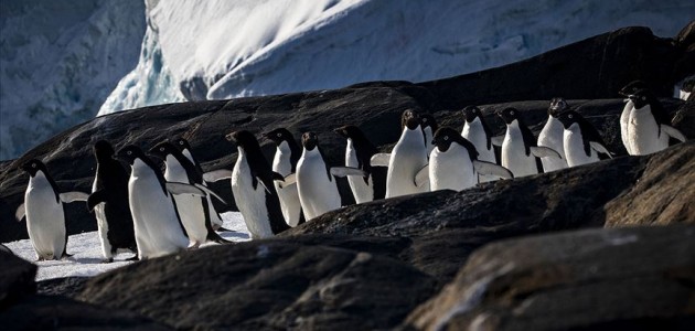 Bilimsel araştırma ekiplerinin gözdesi: Antarktika