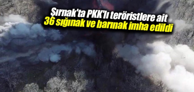 Şırnak’ta PKK’lı teröristlere ait 36 sığınak ve barınak imha edildi