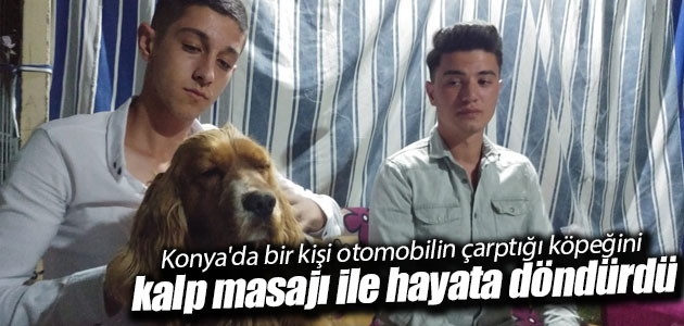 Konya’da bir kişi otomobilin çarptığı köpeğini kalp masajı ile hayata döndürdü