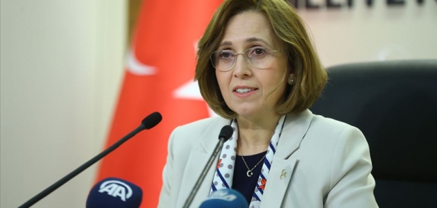 MHP Genel Başkan Yardımcısı Depboylu: İstanbul, Binali Yıldırım ile emin ellerde olacaktır