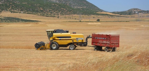 Gaziantep’te buğday hasadına başlandı