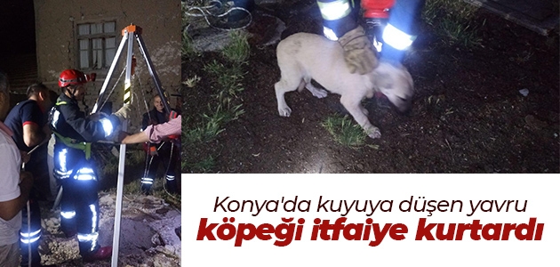 Konya’da kuyuya düşen yavru köpeği itfaiye kurtardı