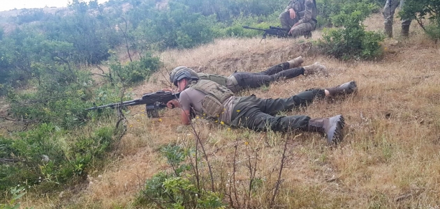 Terör örgütü PKK’ya Bitlis’te darbe