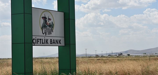 Konya’da ’Çiftlik Bank’ın tabelası ve temeli kaldı