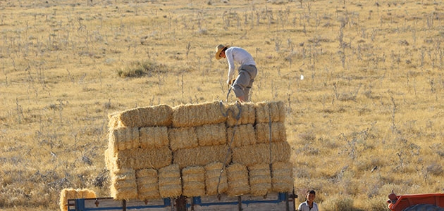 Karapınar’da buğday hasatında sona gelindi