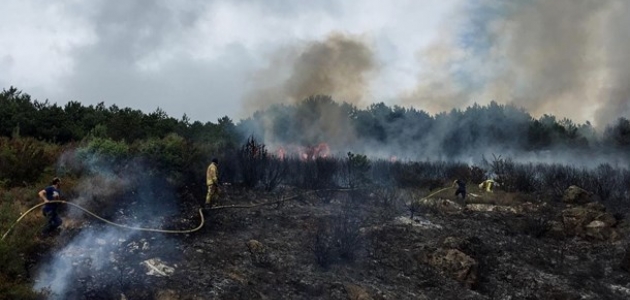 İstanbul Valiliğinden “orman yangını“ açıklaması