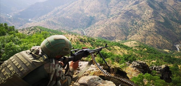 PKK’ya silah ve eleman temin eden 2 terörist yakalandı