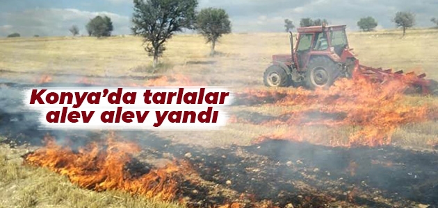 Konya’da tarlalar alev alev yandı