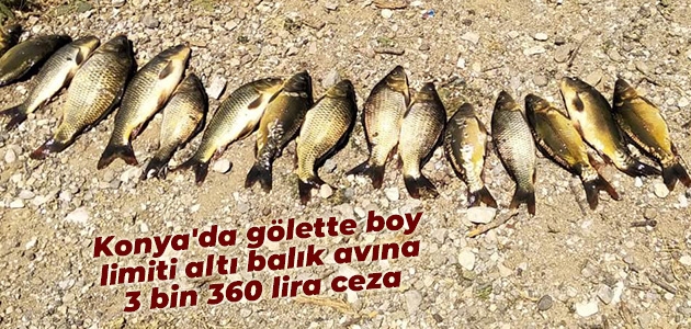 Konya’da gölette boy limiti altı balık avına 3 bin 360 lira ceza