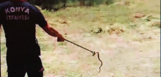 Konya’da eve giren yılanı itfaiye ekipleri çıkardı