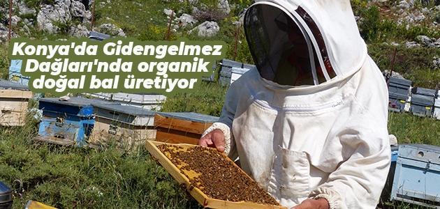 Konya’da Gidengelmez Dağları’nda organik doğal bal üretiyor