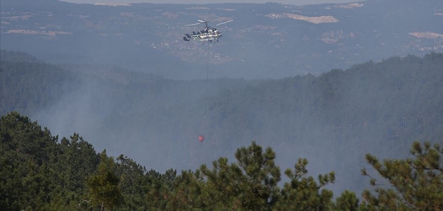 Bursa’daki orman yangını tamamen kontrol altına alındı