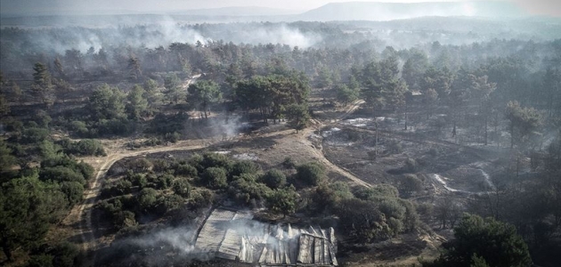 Çanakkale’deki orman yangını kontrol altına alındı