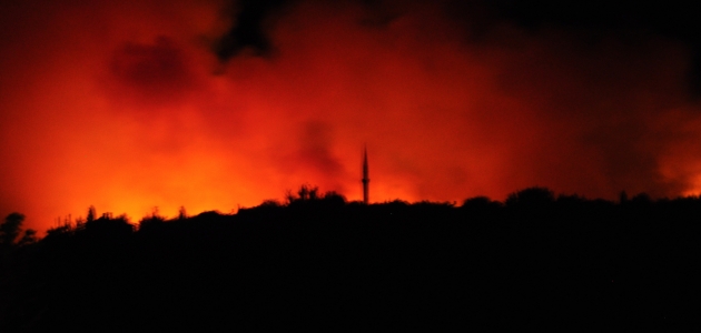 “Türkiye genelinde orman alanlarında 27 yangın çıktı“