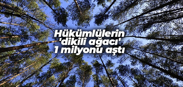 Hükümlülerin ’dikili ağacı’ 1 milyonu aştı