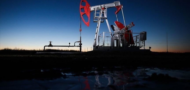 OPEC’in ham petrol üretimi temmuzda azaldı