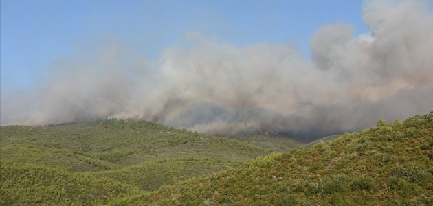 Muğla’daki orman yangınları kısmen kontrol altına alındı