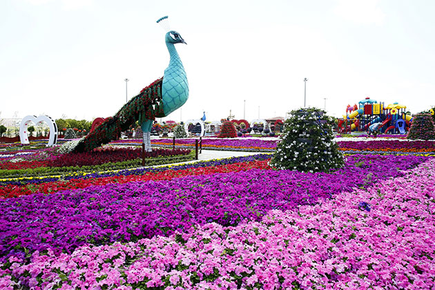 Selçuklu Çiçek Bahçesi şehrin cazibe merkezi oldu